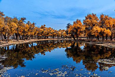 可以放心了？外媒称赞《红霞岛》PC版优化好